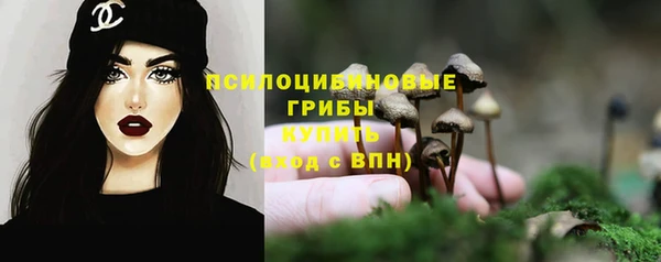 меф Белокуриха