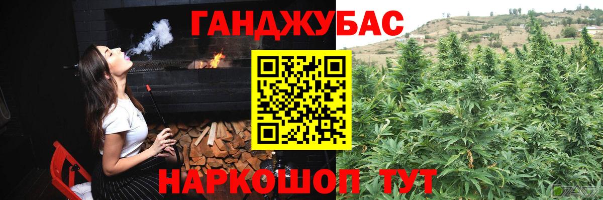 Каннабис индика Славгород